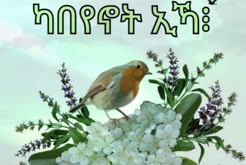 ካበየኖት ኢኻ፧