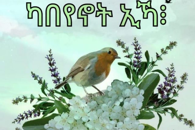 ካበየኖት ኢኻ፧