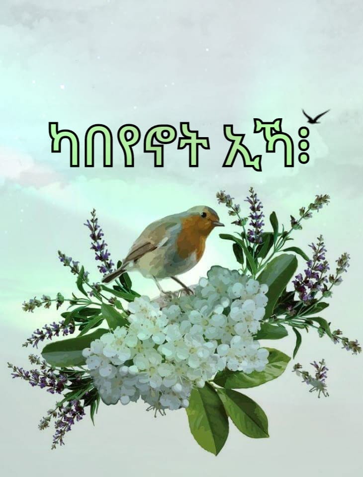 ካበየኖት ኢኻ፧